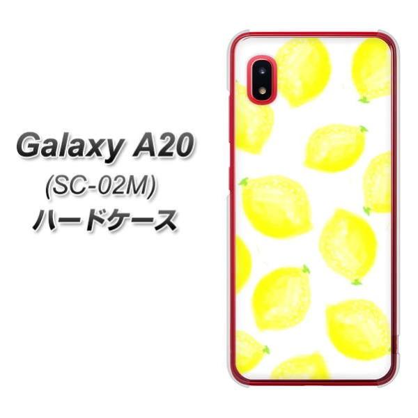 docomo �M�����N�V�[ A20 SC-02M �n�[�h�P�[�X �J�o�[ YJ150 �t���[�c ������ 1 �f�ރN���A UV���