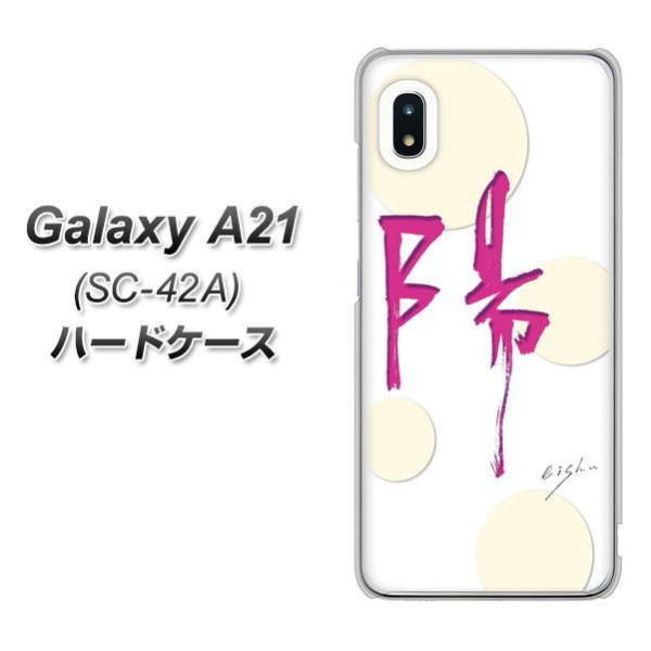 �M�����N�V�[A21 SC-42A �n�[�h�P�[�X �J�o�[ OE833 �z �f�ރN���A UV���