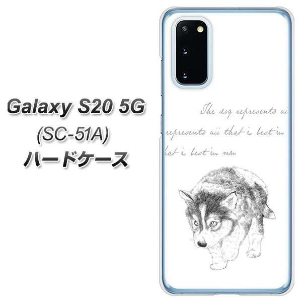 docomo MNV[S20 5G SC-51A n[hP[X Jo[ YJ193 nXL[  킢 CXg fރNA UV