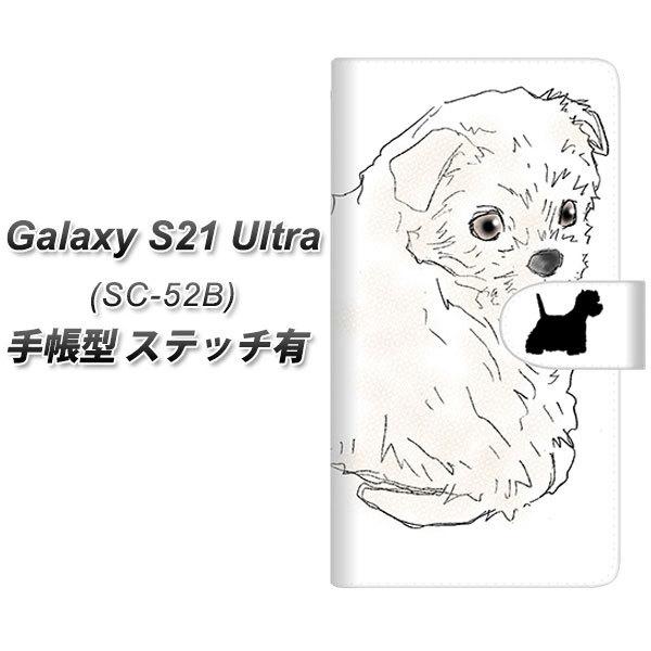 �M�����N�V�[S21 �E���g�� 5G SC-52B �蒠�^ �X�}�z�P�[�X �y�X�e�b�`�^�C�v�z YD950 �E�G�X�g�n�C�����h�z���C�g�e���A01 UV��� ���J��