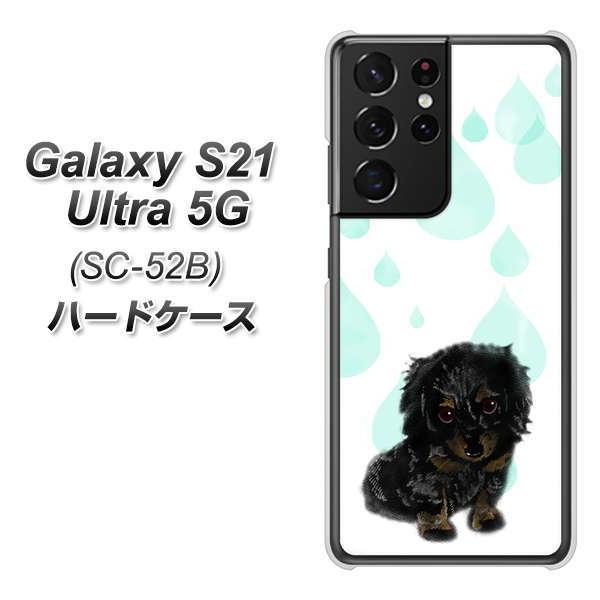 �M�����N�V�[S21 �E���g�� 5G SC-52B �n�[�h�P�[�X �J�o�[ YJ226 �_�b�N�X�t���h �� �� �� ������ ���킢�� �f�ރN���A UV���