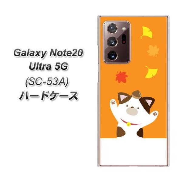 �M�����N�V�[�m�[�g20�E���g�� 5G SC-53A �n�[�h�P�[�X �J�o�[ TA018 �H�݂� �f�ރN���A UV���
