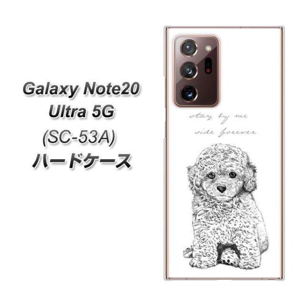 MNV[m[g20Eg 5G SC-53A n[hP[X Jo[ YJ191 gCv[h  킢 fރNA UV