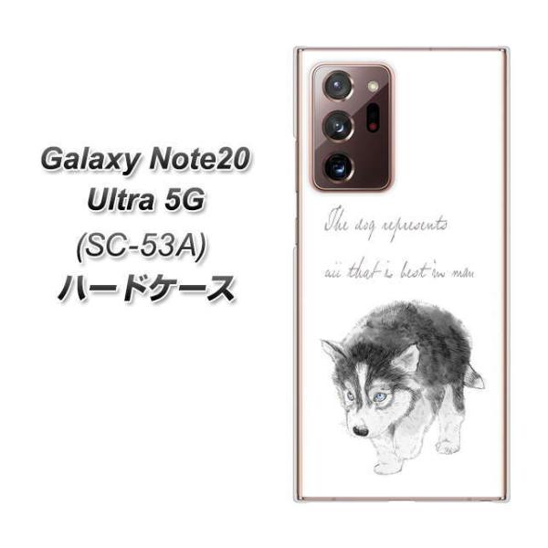 MNV[m[g20Eg 5G SC-53A n[hP[X Jo[ YJ194 nXL[  CXg 킢 fރNA UV