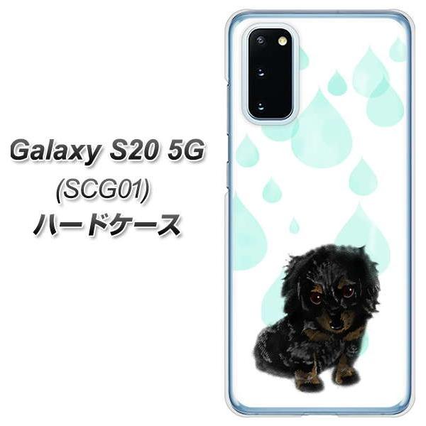 au �M�����N�V�[S20 5G SCG01 �n�[�h�P�[�X �J�o�[ YJ226 �_�b�N�X�t���h �� �� �� ������ ���킢�� �f�ރN���A UV���