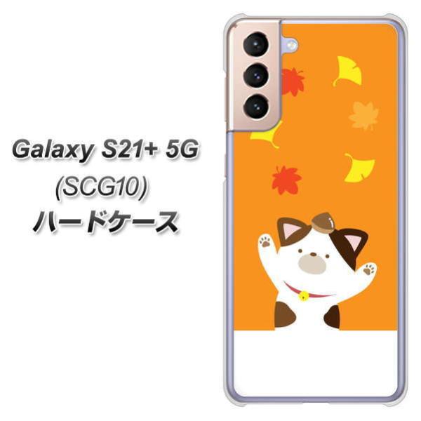�M�����N�V�[S21�v���X 5G SCG10 �n�[�h�P�[�X �J�o�[ TA018 �H�݂� �f�ރN���A UV���