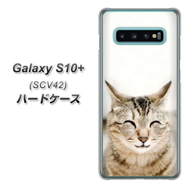 au �M�����N�V�[ S10+ SCV42 �n�[�h�P�[�X �J�o�[ VA801 �Ε��˂� �f�ރN���A UV���
