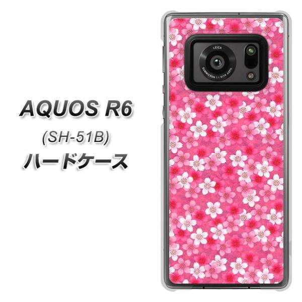 ANIXR6 SH-51B n[hP[X Jo[ 065  fރNA UV