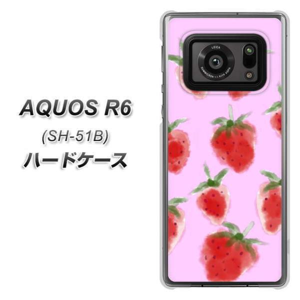 ANIXR6 SH-51B n[hP[X Jo[ YJ180   킢  t[c fރNA UV