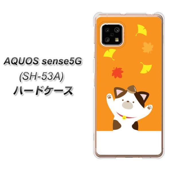 �A�N�I�X �Z���X5G SH-53A �n�[�h�P�[�X �J�o�[ TA018 �H�݂� �f�ރN���A UV���