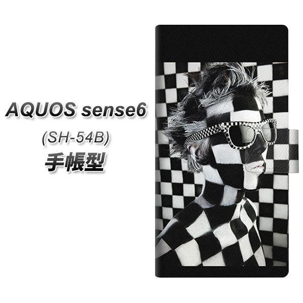 ANIX ZX6 SH-54B 蒠^ X}zP[X 357 bkwh UV J