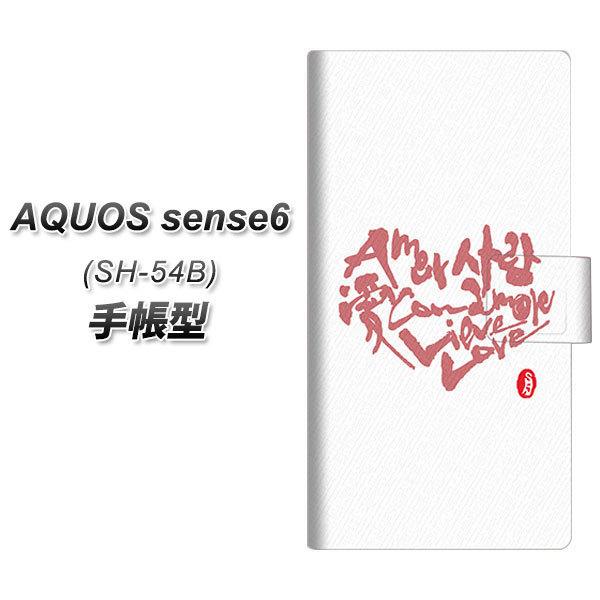 ANIX ZX6 SH-54B 蒠^ X}zP[X OE801  zCg UV J