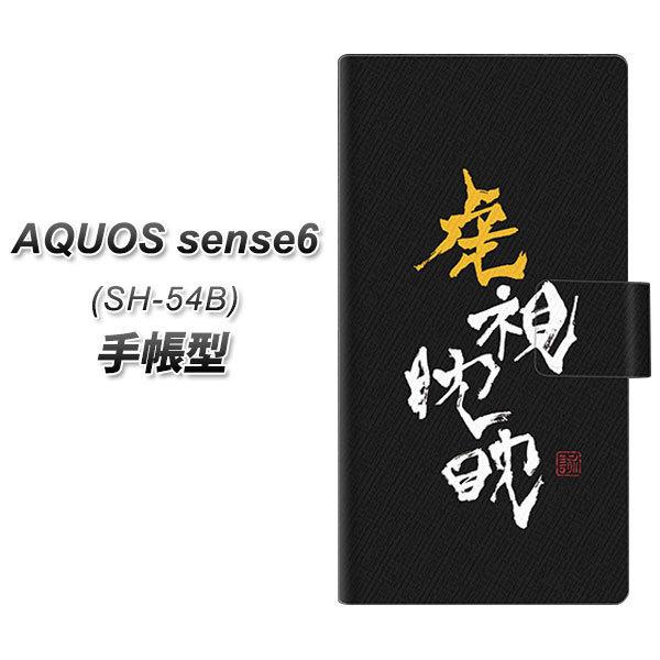 ANIX ZX6 SH-54B 蒠^ X}zP[X OE803 ՎἁX UV J