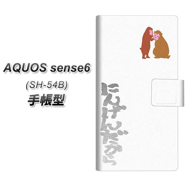 ANIX ZX6 SH-54B 蒠^ X}zP[X YC928 04 UV J