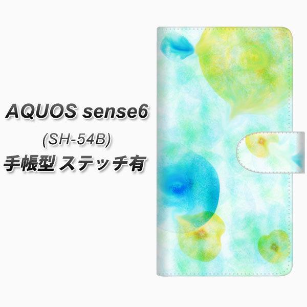 ANIX ZX6 SH-54B 蒠^ X}zP[X yXeb`^Cvz FD809 01ij UV J