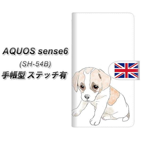 ANIX ZX6 SH-54B 蒠^ X}zP[X yXeb`^Cvz YD897 WbNbZeA03 UV J