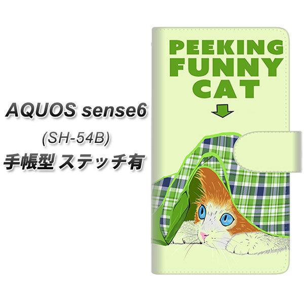 ANIX ZX6 SH-54B 蒠^ X}zP[X yXeb`^Cvz YE873 Ԃ˂04 UV J