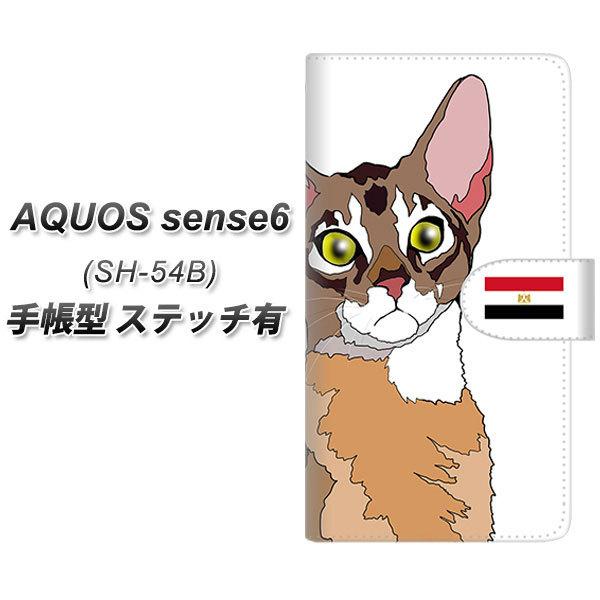 ANIX ZX6 SH-54B 蒠^ X}zP[X yXeb`^Cvz YE963 ArVjA01 UV J