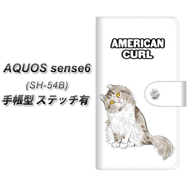 ANIX ZX6 SH-54B 蒠^ X}zP[X yXeb`^Cvz YE970 AJJ[01 UV J