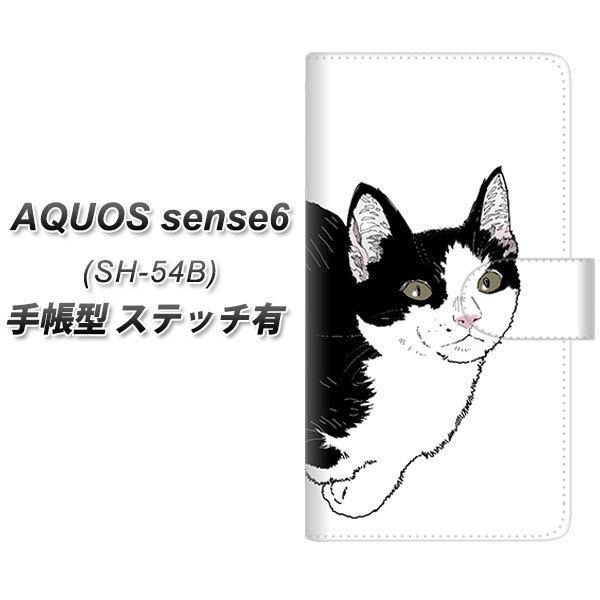 ANIX ZX6 SH-54B 蒠^ X}zP[X yXeb`^Cvz YJ159 lR ` CXg  UV J