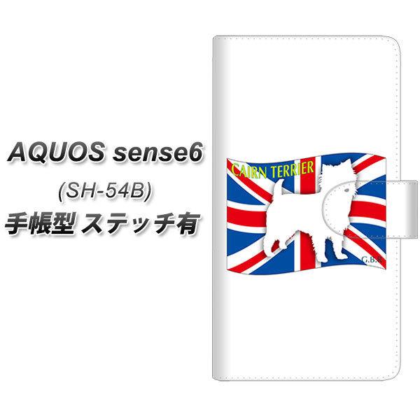 ANIX ZX6 SH-54B 蒠^ X}zP[X yXeb`^Cvz ZA813 PA[eA UV J