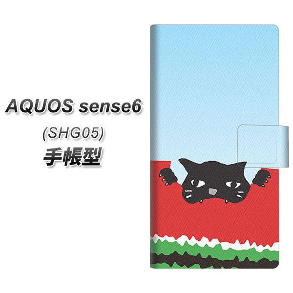 ANIX ZX6 SHG05 蒠^ X}zP[X IA815 lR() UV J