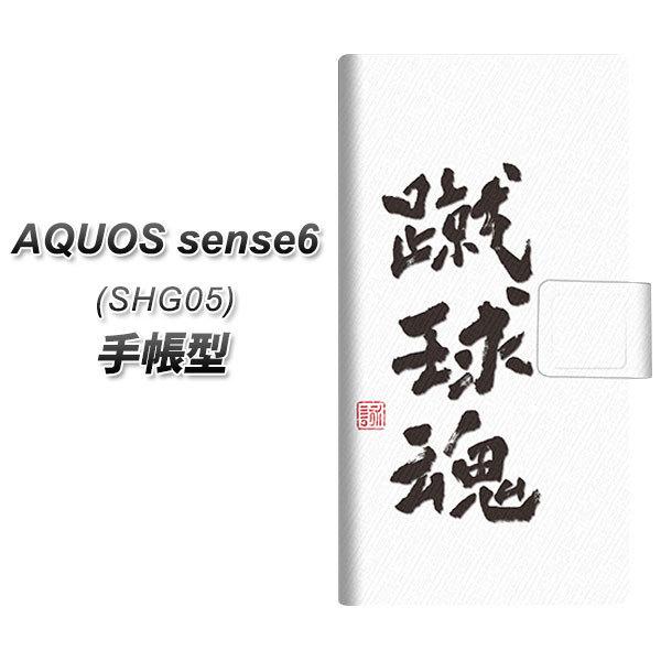 ANIX ZX6 SHG05 蒠^ X}zP[X OE857 R zCg UV J