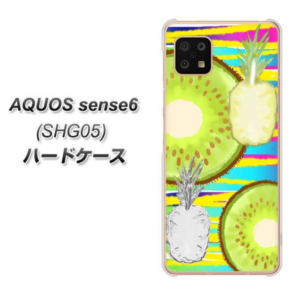 ANIX ZX6 SHG05 n[hP[X Jo[ YJ182 gsJ LEC pCibv 킢  fރNA UV