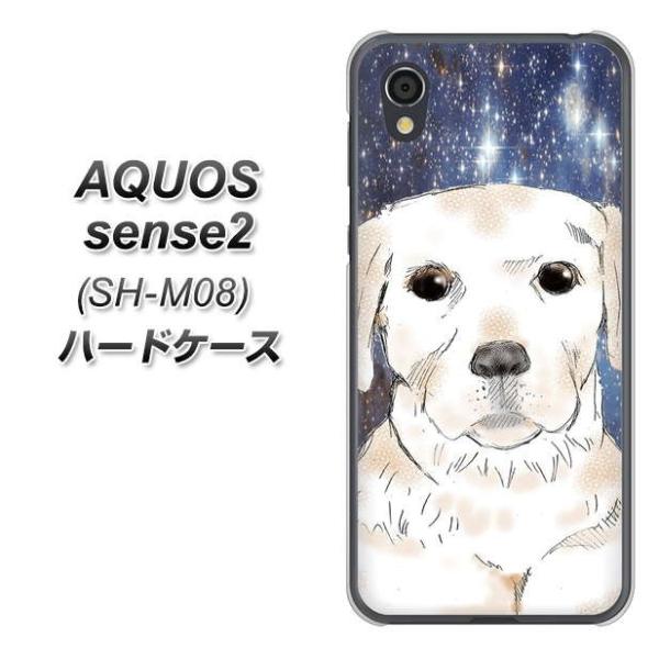 SIMt[ ANIXZX2 SH-M08 n[hP[X Jo[ YD820 u01 fރNA UV