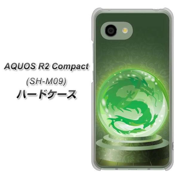 simt[ ANIXR2 RpNg SH-M09 n[hP[X Jo[ 439 ɕԗ fރNA UV