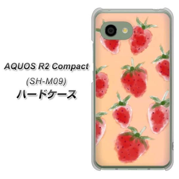 simt[ ANIXR2 RpNg SH-M09 n[hP[X Jo[ YJ179   킢 t[c  fރNA UV