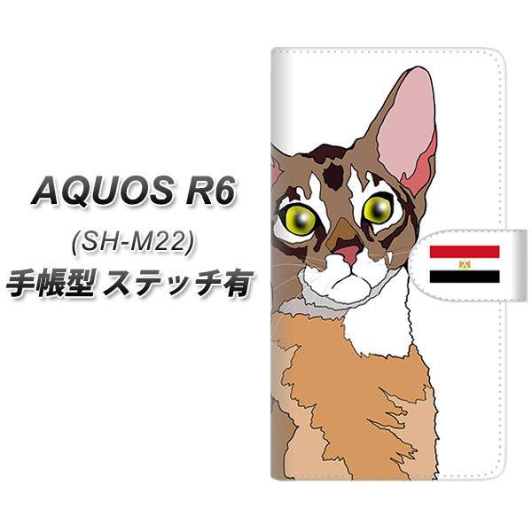 SIMt[ ANIXR6 SH-M22 蒠^ X}zP[X yXeb`^Cvz YE963 ArVjA01 UV J