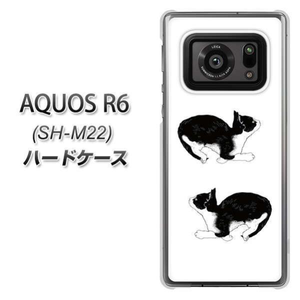 SIMt[ ANIXR6 SH-M22 n[hP[X Jo[ YJ161 lR ` CXg  fރNA UV