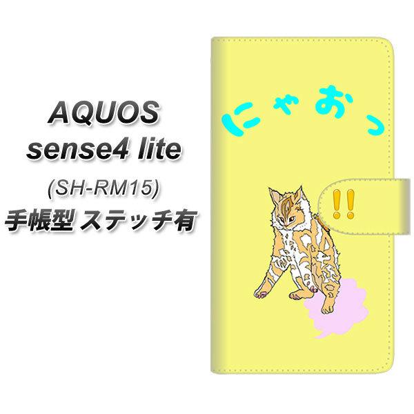 ANIX ZX4 Cg SH-RM15 蒠^ X}zP[X yXeb`^Cvz YE915 jII UV J