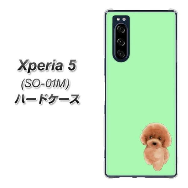docomo �G�N�X�y���A5 SO-01M �n�[�h�P�[�X �J�o�[ YJ052 �g�C�v�[01 �O���[��  �f�ރN���A UV���