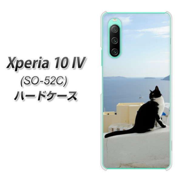 docomo Xperia 10 IV SO-52C n[hP[X VA805 lRƒnC fރNA UV