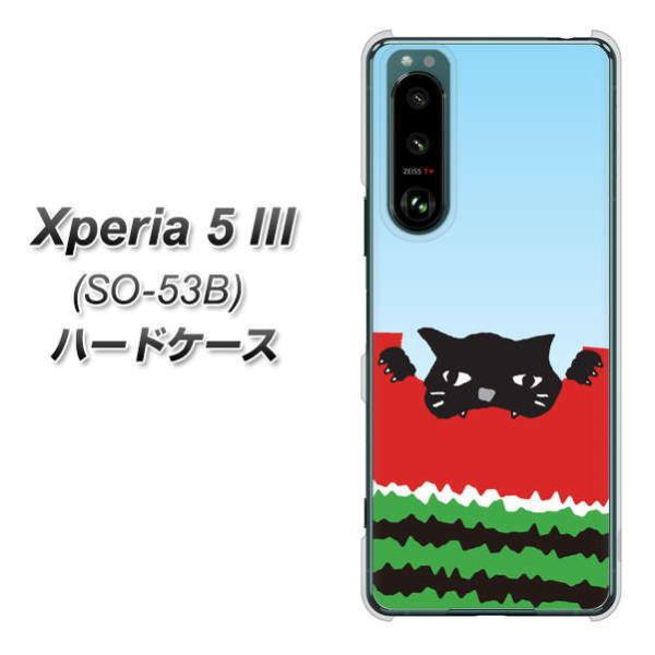 GNXyA5 III SO-53B n[hP[X Jo[ IA815 lR() fރNA UV