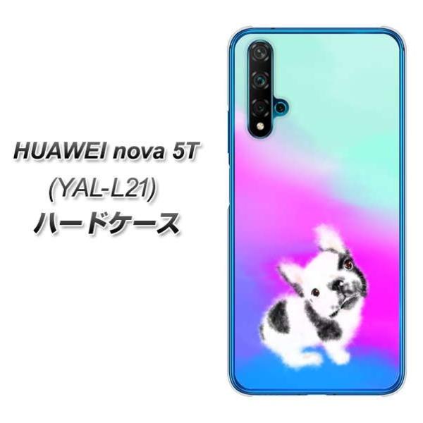 �t�@�[�E�F�C nova 5T YAL-L21 �n�[�h�P�[�X �J�o�[ YJ227 �� �C�k ���� �t�����` �u���h�b�N ���킢�� �f�ރN���A UV���