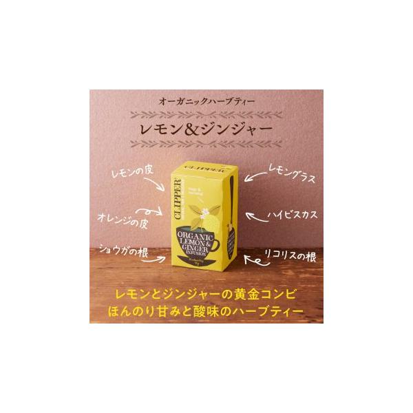 オーガニックハーブティー レモン＆ジンジャー 50g(20P) (クリッパー)   1002847-kf