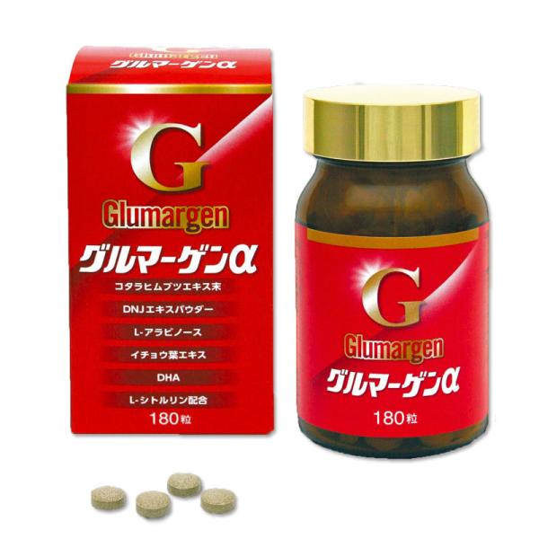 イチョウ葉　DHA　カテキン　うっかり　生活習慣