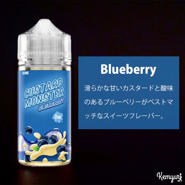 Custard Monster - Blueberry 100ml
