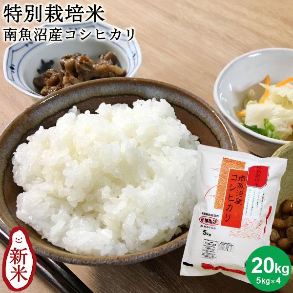 令和3年度産　新潟こしひかり　20kg(5kg×4袋)　特別栽培米 令和3年度産 新潟こしひかり 20kg(5kg×4袋) 特別栽培米