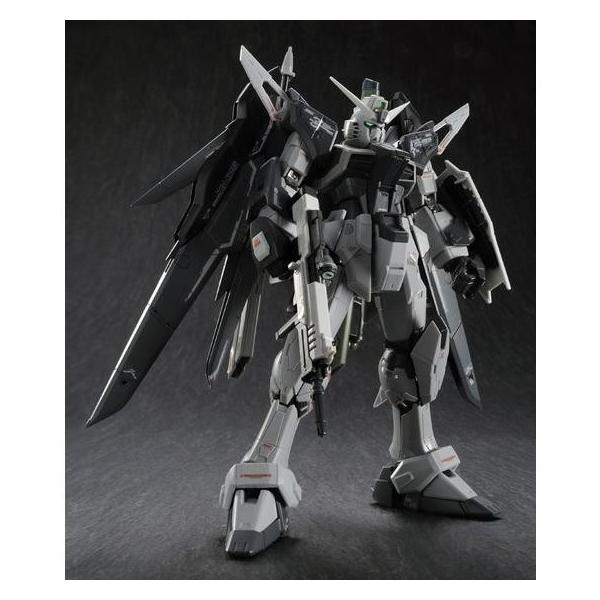 rg デスティニーガンダム　完成品 RG 1/144 デスティニーガンダム&拡張エフェクトユニット“光の翼” セット
