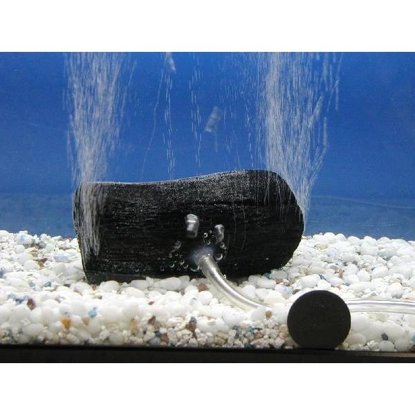 水槽用備長炭ｓサイズ 水槽の水をきれいに金魚 メダカ 熱帯魚の飼育に最適 1000 健カンパニー 通販 Yahoo ショッピング