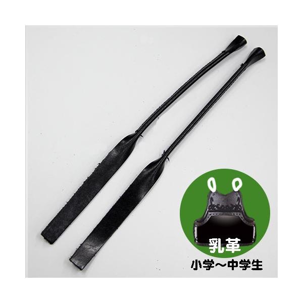 kendo-express_002-tt11