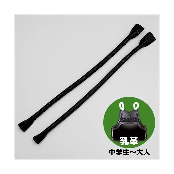 剣道 胴 胸」の人気商品一覧 | 安い商品を通販サイトから探す - 価格.com