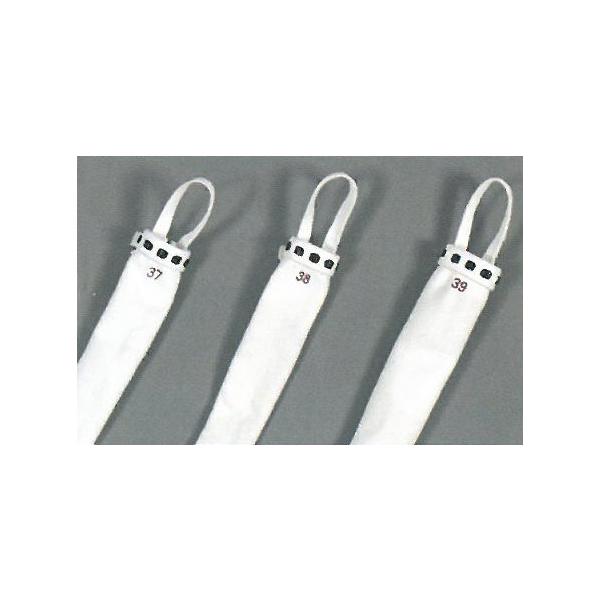  |p Ⴌ v (䂤pPbgOK)