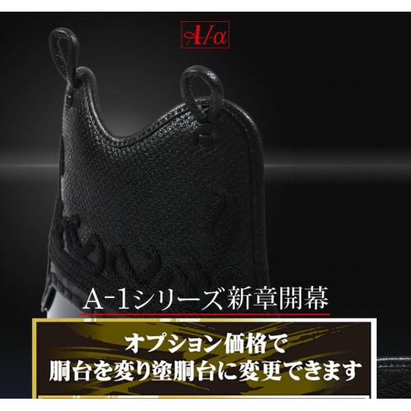 A-1α 胴の人気商品・通販・価格比較 - 価格.com A-1α 胴の人気商品・通販・価格比較 - 価格.com