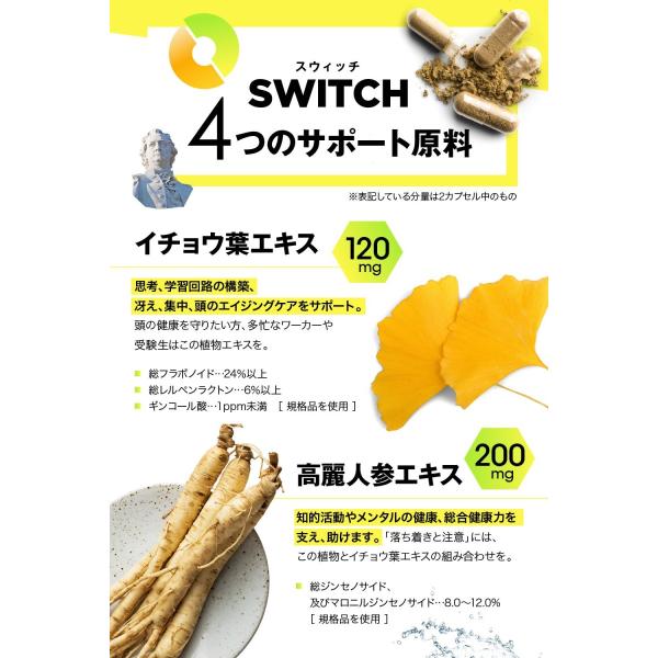 キロン スマート サプリメント Switch スウィッチ 90カプセル Ver 3 イチョウ葉 ホスファチジルセリン Ps 高麗人参 バコパ ブレンド Buyee Buyee Japanese Proxy Service Buy From Japan Bot Online