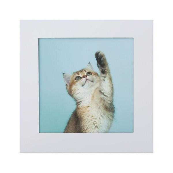 アートトワレ  ねこ  003-cat 壁に飾る防災トイレ処理セット(5回分)  ATW-5 - まいにち ※メール便対応商品